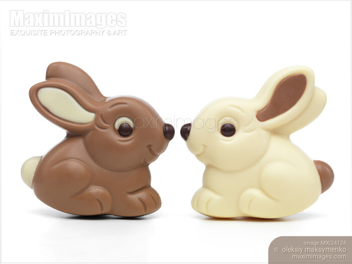 Two cute chocolate bunnies Stock photo of Two cute chocolate bunnies Buy commercial use license at MaximImages