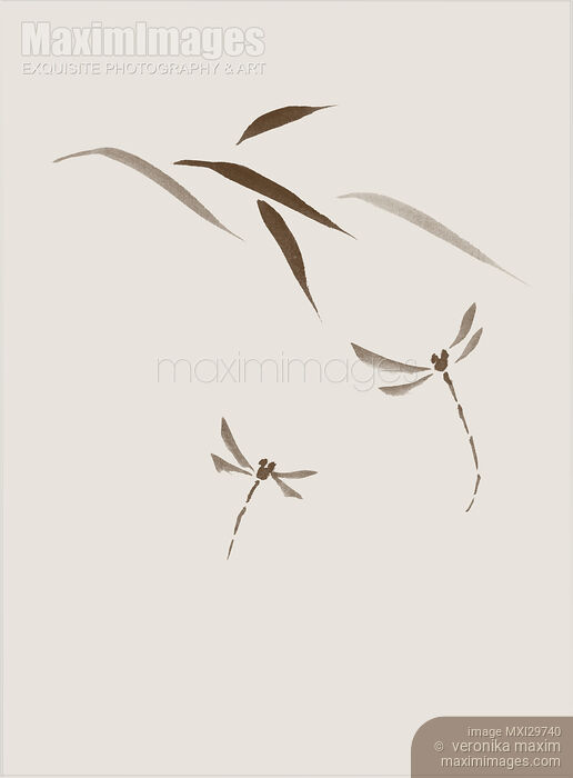 Two dragonflies and leaves Delicate romantic Zen style design on light beige background Stock image of Two dragonflies and leaves Delicate romantic Zen style design on light beige background Buy commercial use license at MaximImages