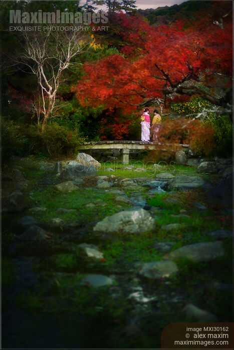 Two girls in kimono standing on a bridge in Japanese garden in autumn Stock photo of Two girls in kimono standing on a bridge in Japanese garden in autumn Buy commercial use license at MaximImages