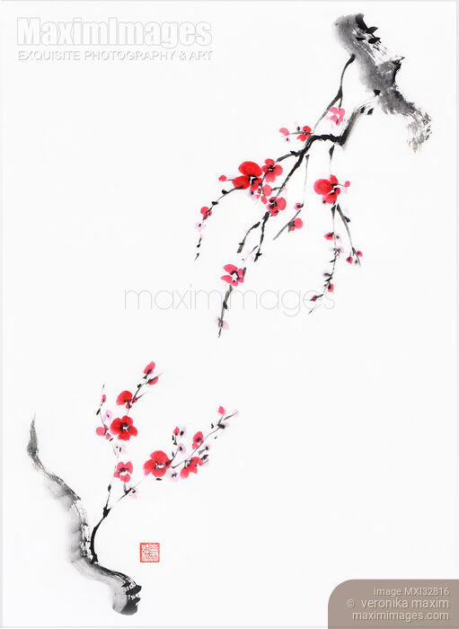 Stock image of Two Japanese plum blossom branches reaching towards each other Fine art sumi-e Zen painting Buy commercial use license at MaximImages
