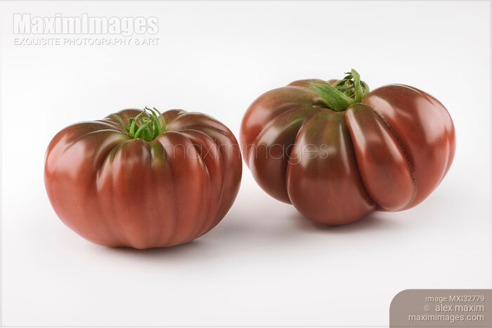 Stock photo of Two large dark red organic heirloom tomatoes Black Krim or Crimean Black isolated on white Buy commercial use license at MaximImages