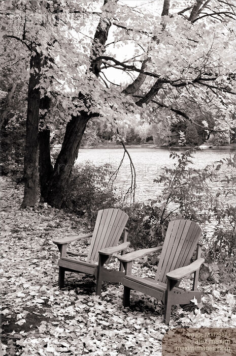 Stock photo of Two Muskoka adirondack chairs in autumn nature Black and white Buy commercial use license at MaximImages