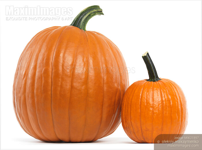 Stock photo of Two Pumpkins Buy commercial use license at MaximImages