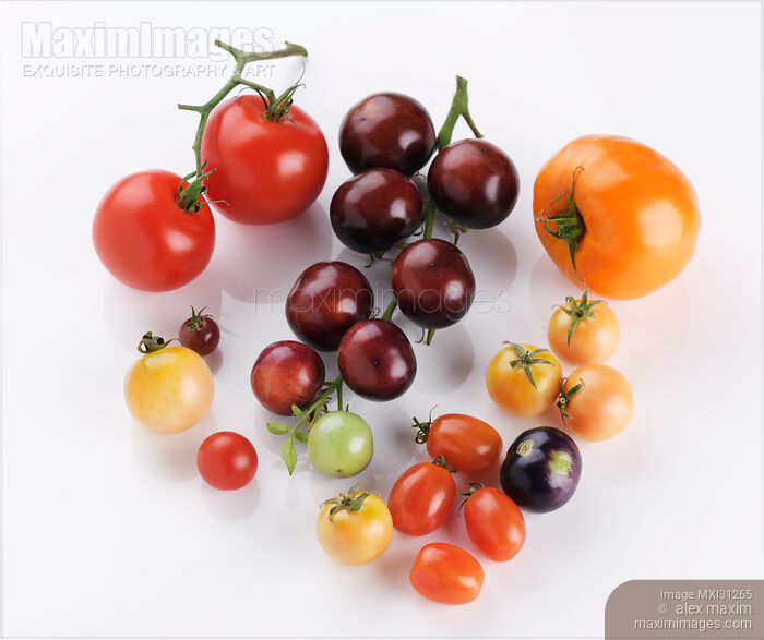 Variety of Organic heirloom tomatoes of different sizes and colors isolated on white Stock photo of Variety of Organic heirloom tomatoes of different sizes and colors isolated on white Buy commercial use license at MaximImages