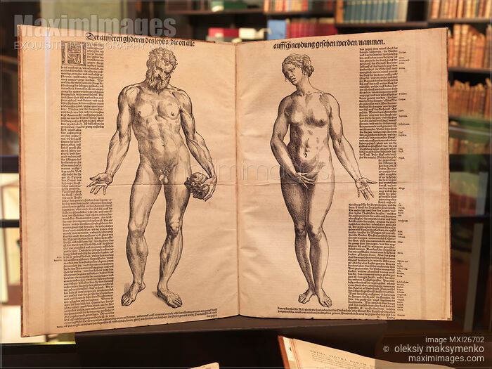 Vesalius De Humani Corporis Fabrica anatomy book in a library Stock photo of Vesalius De Humani Corporis Fabrica anatomy book in a library Buy commercial use license at MaximImages