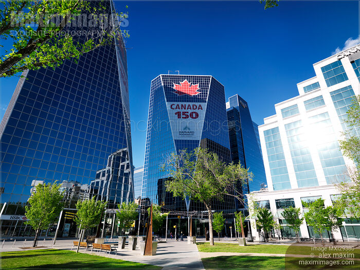 Stock photo of Victoria Park and McCallum Hill Centre Towers in Regina downtown Buy commercial use license at MaximImages