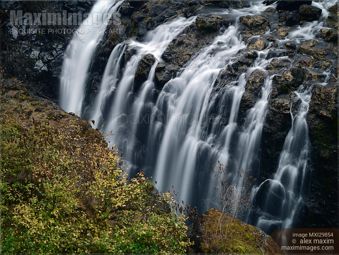 Waterfall at Englishman River Falls Provincial Park on Vancouver Island Stock photo of Waterfall at Englishman River Falls Provincial Park on Vancouver Island Buy commercial use license at MaximImages