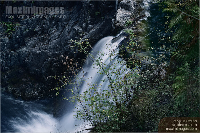 Stock photo of Waterfall at Little Qualicum Falls Provincial Park Vancouver Island Buy commercial use license at MaximImages