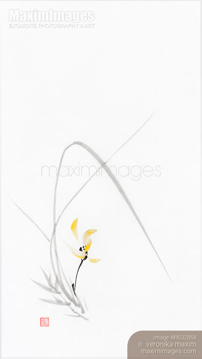 Wild orchid with yellow petals on white elegant Chinese brush sumi-e painting Stock image of Wild orchid with yellow petals on white elegant Chinese brush sumi-e painting Buy commercial use license at MaximImages