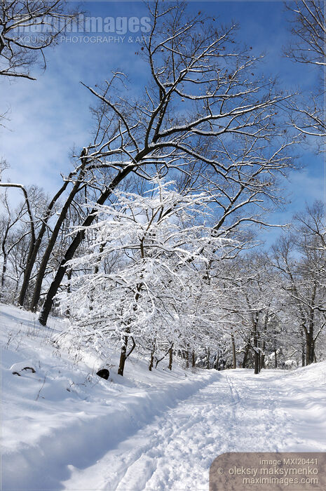 Stock photo of Winter Buy commercial use license at MaximImages