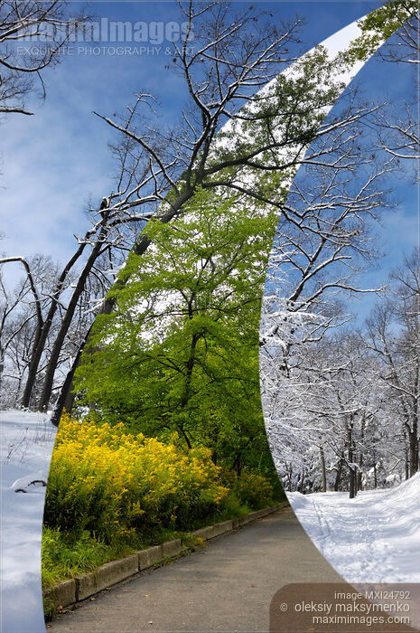 Winter and Summer Stock photo of Winter and Summer Buy commercial use license at MaximImages