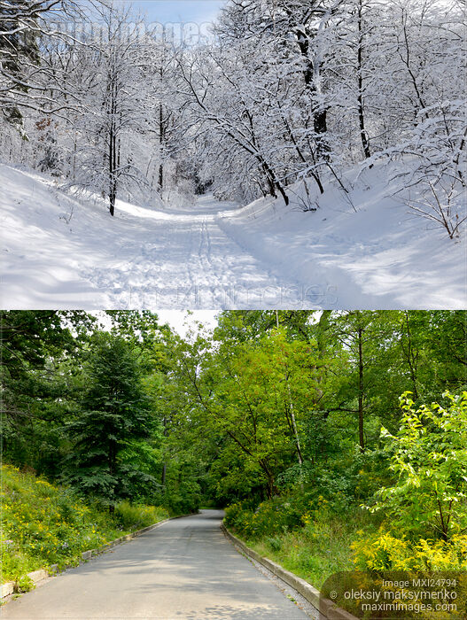 Stock photo of Winter and Summer Buy commercial use license at MaximImages