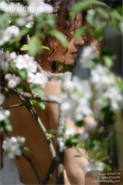 Woman bare body behind white flowers of apple tree blossoms Stock photo of Woman bare body behind white flowers of apple tree blossoms Buy commercial use license at MaximImages