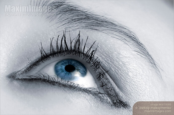 Stock photo of Woman blue eye closeup Buy commercial use license at MaximImages