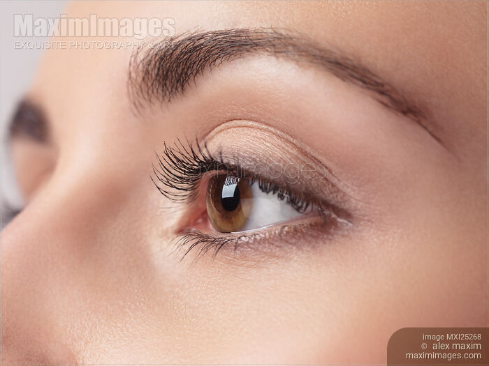 Stock photo of Woman brown eye closeup Buy commercial use license at MaximImages