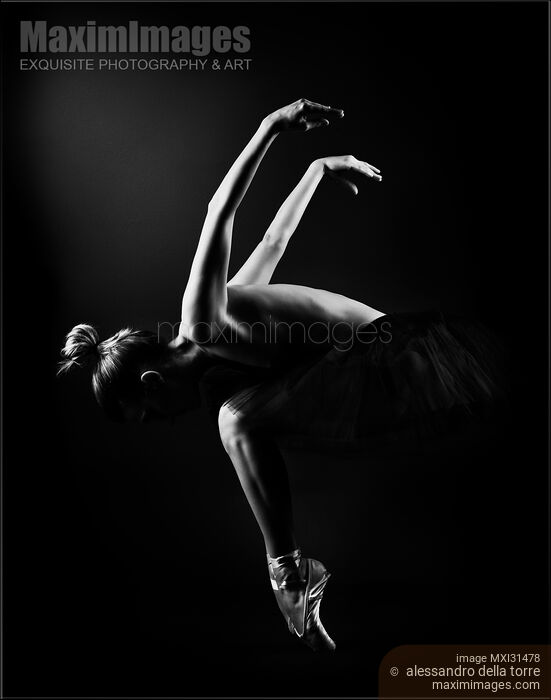 Stock photo of Woman dancer in a black tutu black and white artistic nudes Buy commercial use license at MaximImages