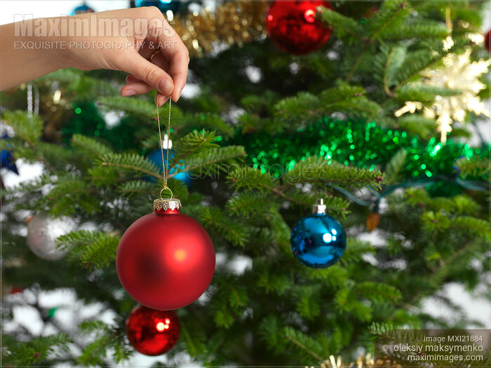Woman Decorating a Christmas Tree Stock photo of Woman Decorating a Christmas Tree Buy commercial use license at MaximImages