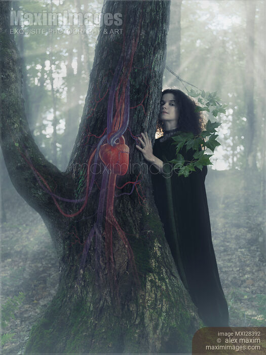 Woman druid listening to heartbeat of the tree Stock photo of Woman druid listening to heartbeat of the tree Buy commercial use license at MaximImages