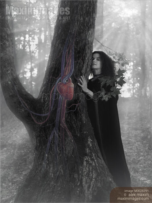 Woman druid listening to heartbeat of the tree Black and white Stock photo of Woman druid listening to heartbeat of the tree Black and white Buy commercial use license at MaximImages