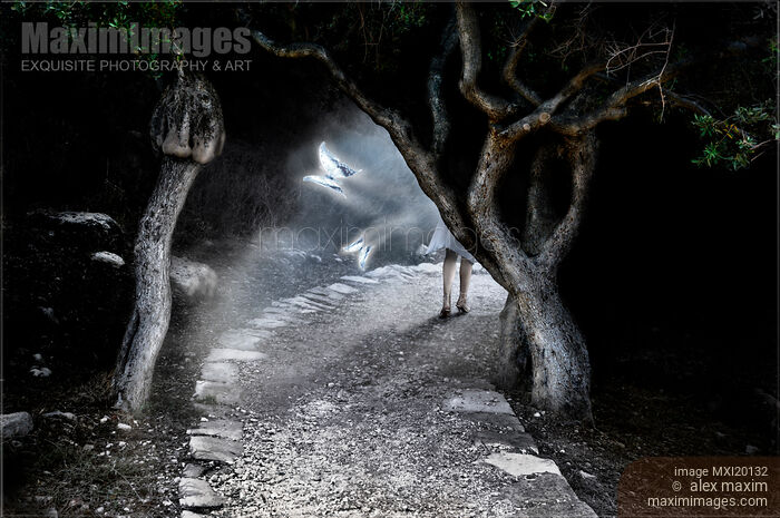 Stock photo of Woman entering wonderland forest Buy commercial use license at MaximImages