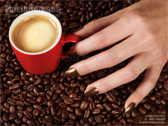 Stock photo of Woman Hand Holding a Cup of Latte Buy commercial use license at MaximImages