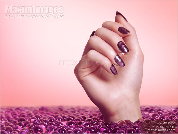 Woman Hand With Purple Nail Polish Stock photo of Woman Hand With Purple Nail Polish Buy commercial use license at MaximImages