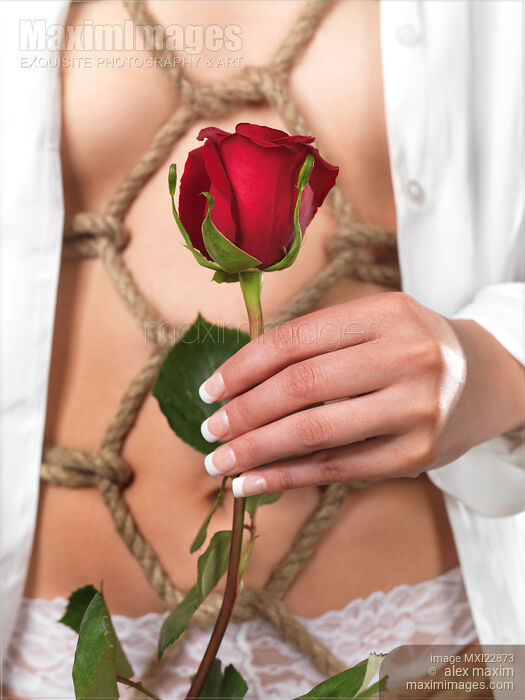 Stock photo of Woman holding a red rose in her hand in front of her half-naked body tied with bondage ropes Buy commercial use license at MaximImages