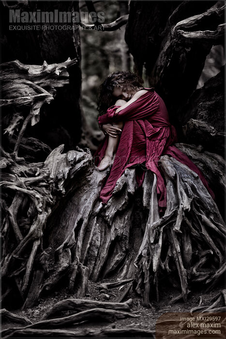 Woman in red dress curled up like a child in roots of an old dead tree Stock photo of Woman in red dress curled up like a child in roots of an old dead tree Buy commercial use license at MaximImages
