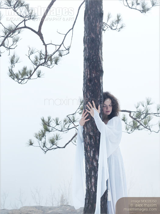 Woman in white dress hugging a tree Stock photo of Woman in white dress hugging a tree Buy commercial use license at MaximImages