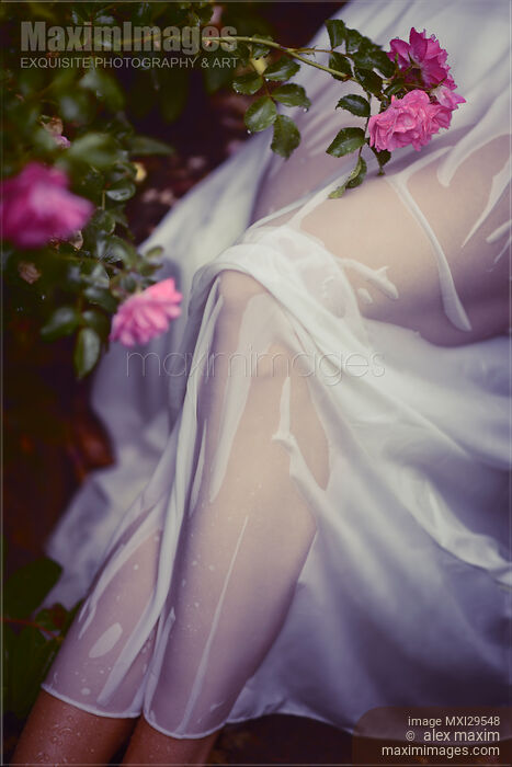 Woman legs under wet summer dress in rose garden Stock photo of Woman legs under wet summer dress in rose garden Buy commercial use license at MaximImages