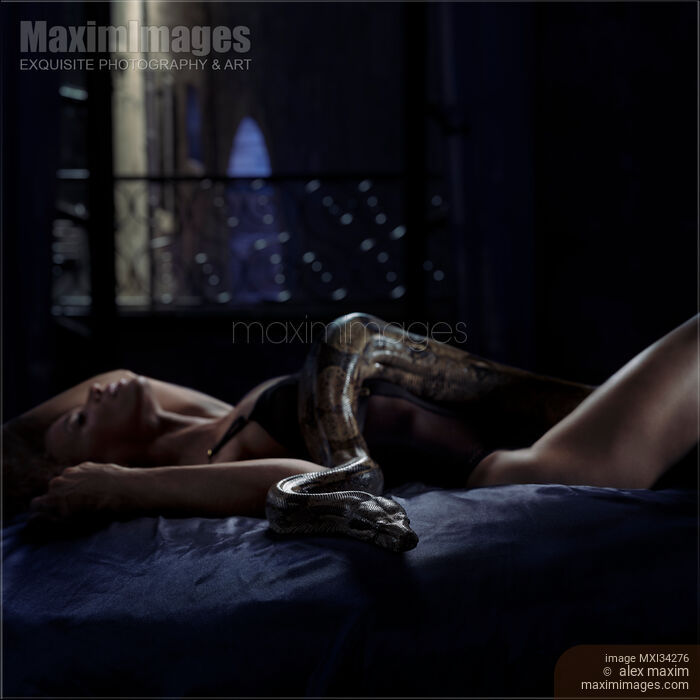 Woman lying on bed with a large boa constrictor snake slithering over her sexy body Stock photo of Woman lying on bed with a large boa constrictor snake slithering over her sexy body Buy commercial use license at MaximImages