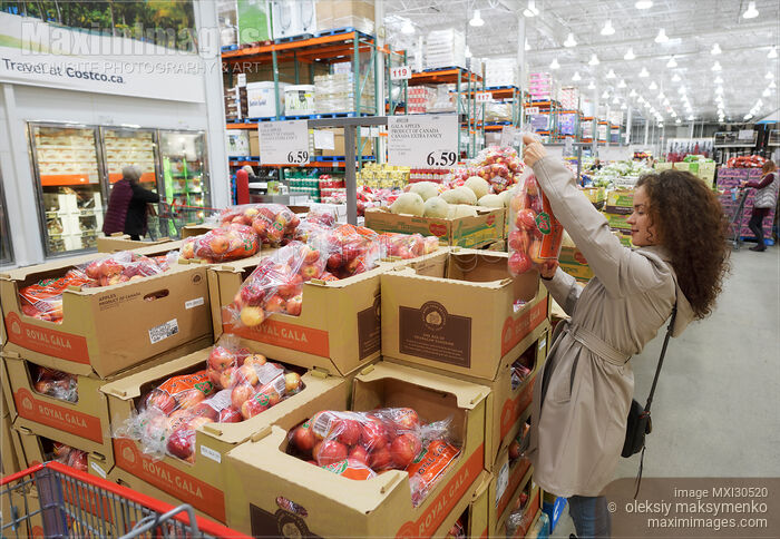 Stock photo of Woman picking a bag of apples at Costco Wholesale warehouse store Buy commercial use license at MaximImages