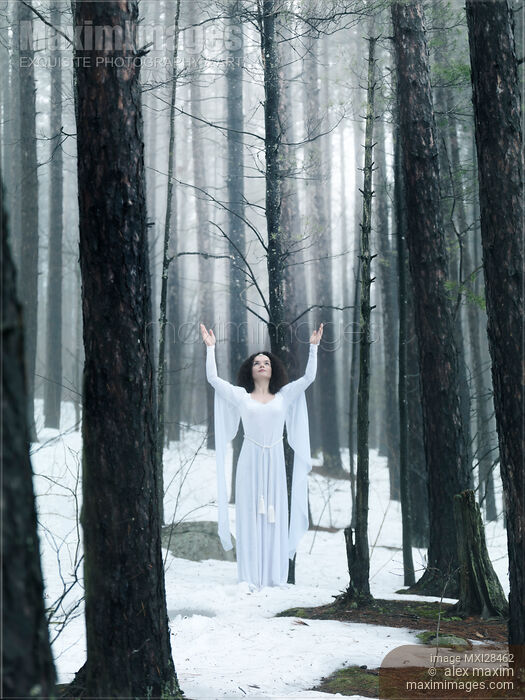 Woman standing in a forest with her arms raised Stock photo of Woman standing in a forest with her arms raised Buy commercial use license at MaximImages