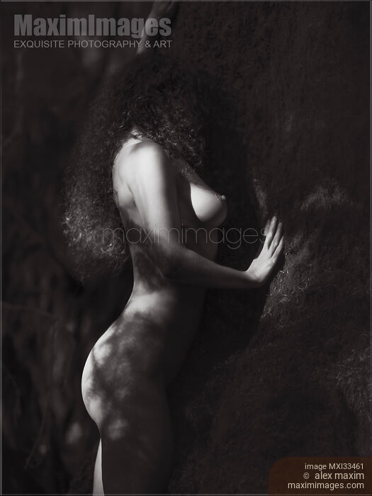 Woman standing naked leaning against a tree in a dark shadowy forest with sunlight on her skin Black and white art nude Stock photo of Woman standing naked leaning against a tree in a dark shadowy forest with sunlight on her skin Black and white art nude Buy commercial use license at MaximImages