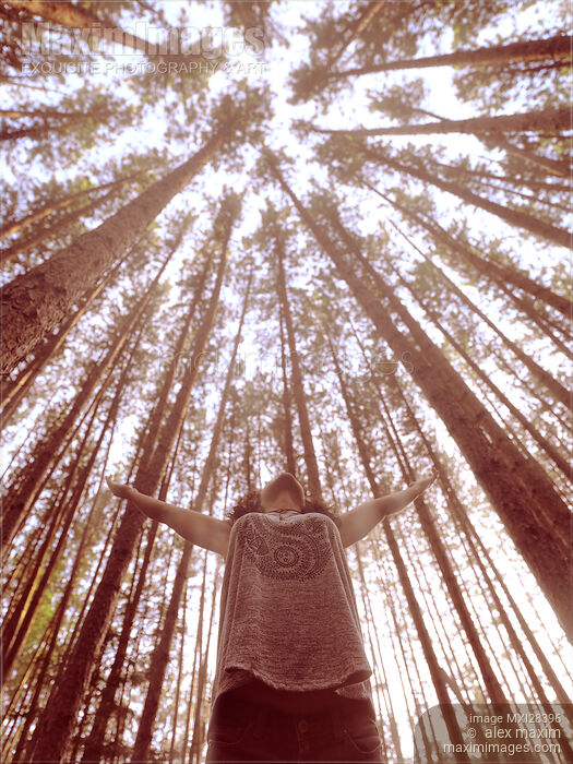 Stock photo of Woman standing under tall pine trees with hands raised towards the sun Buy commercial use license at MaximImages