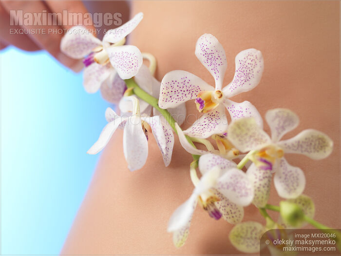 Woman with Flowers Stock photo of Woman with Flowers Buy commercial use license at MaximImages