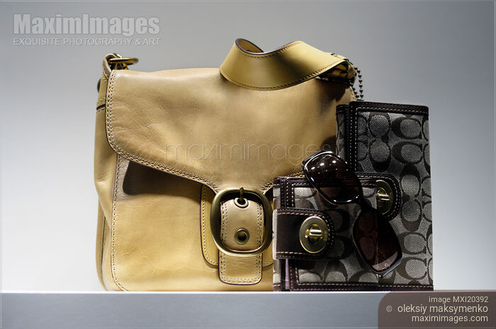 Stock photo of Women Leather Purse Handbag Buy commercial use license at MaximImages