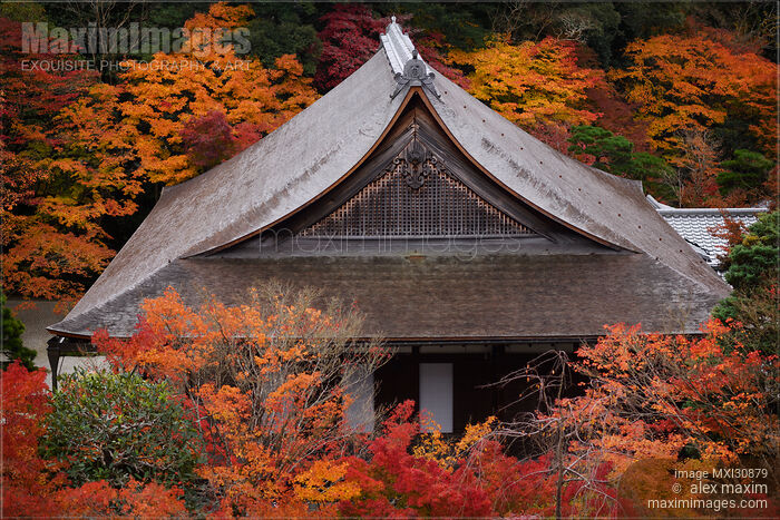 Wooden roof of a traditional Japanese temple hall building at Nanzen-ji complex in Kyoto Stock photo of Wooden roof of a traditional Japanese temple hall building at Nanzen-ji complex in Kyoto Buy commercial use license at MaximImages