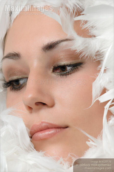 Young Woman Face in White Swan Feathers Stock photo of Young Woman Face in White Swan Feathers Buy commercial use license at MaximImages