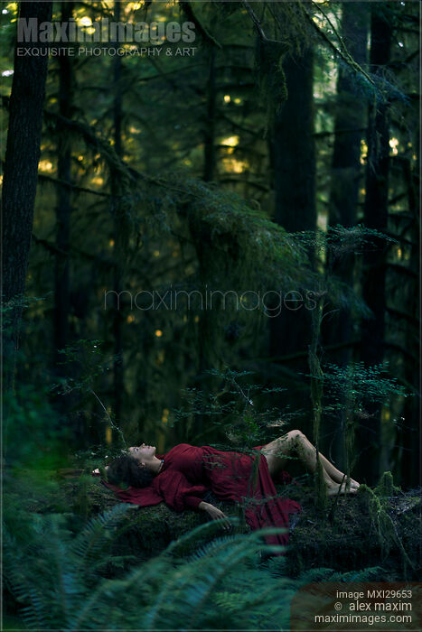 Young woman in red dress lying on a tree in deep green mossy woods Stock photo of Young woman in red dress lying on a tree in deep green mossy woods Buy commercial use license at MaximImages
