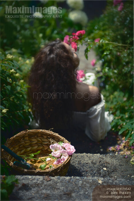 Young woman smelling roses in a garden Stock photo of Young woman smelling roses in a garden Buy commercial use license at MaximImages