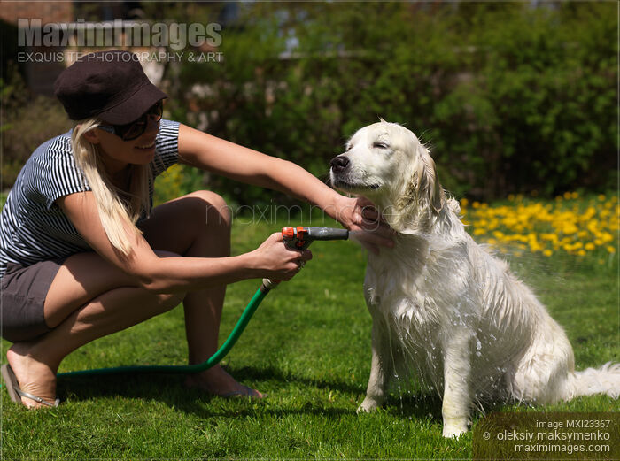 Stock photo of Young Woman Washing Her Dog Buy commercial use license at MaximImages