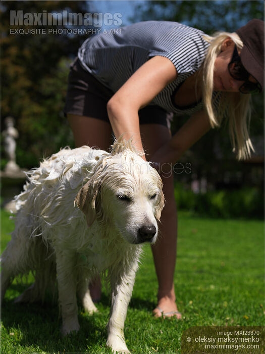 Stock photo of Young Woman Washing Her Dog Buy commercial use license at MaximImages