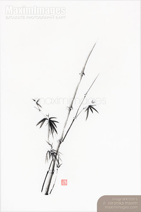 Stock image of Zen bamboo illustration Minimalist Japanese sumi-e black ink painting Buy commercial use license at MaximImages