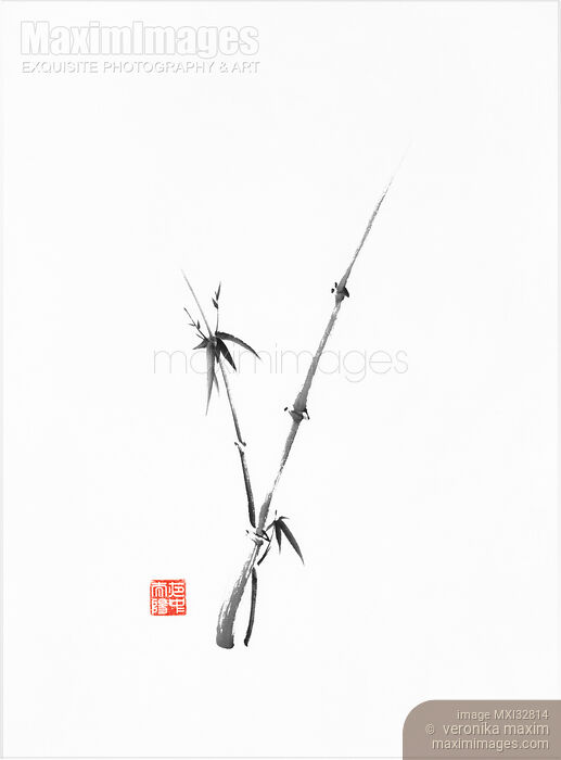 Stock image of Zen bamboo two young stalks fine art painting Chinese brush black ink sumi-e illustration Buy commercial use license at MaximImages