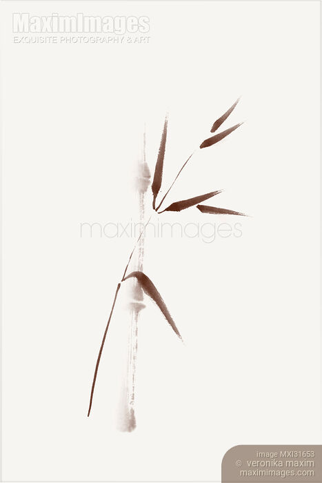 Stock image of Zen design of a single brown bamboo stalk and a branch with leaves on beige Buy commercial use license at MaximImages