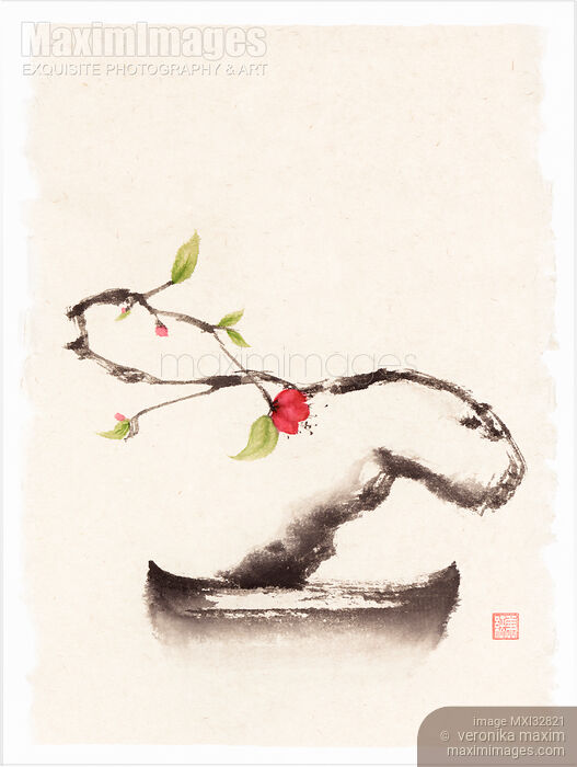 Stock image of Zen fine art sumi-e painting of a dreamy bonsai sakura tree with a single red blossom Buy commercial use license at MaximImages