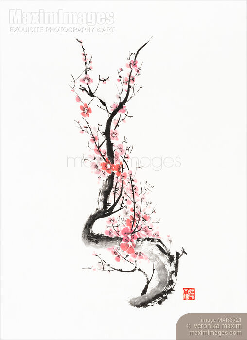 Stock image of Zen style Sumi-e painting of Red plum blossom Sakura branch with pink flowers Buy commercial use license at MaximImages