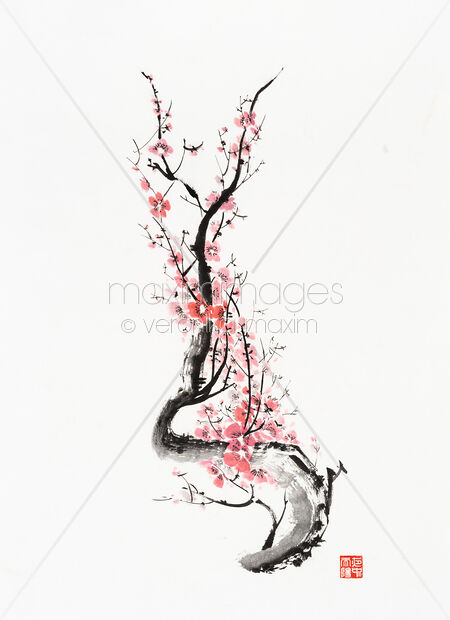 Zen style Sumi-e painting of Red plum blossom Sakura branch with pink flowers Original Artwork of Zen style Sumi-e painting of Red plum blossom Sakura branch with pink flowers Buy this Painting at MaximImages