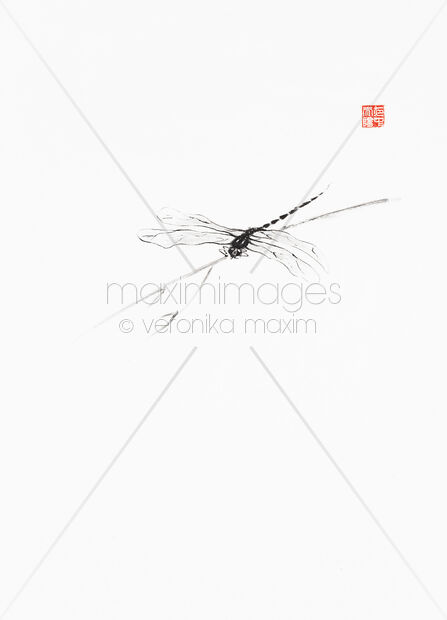 Zen Sumi-e painting of a Dragonfly on a bamboo branch Original Artwork of Zen Sumi-e painting of a Dragonfly on a bamboo branch Buy this Painting at MaximImages